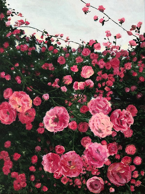 Розовый сад в предвечернем свете